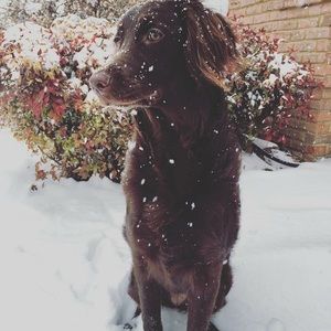 Meet your Posher, Allyson